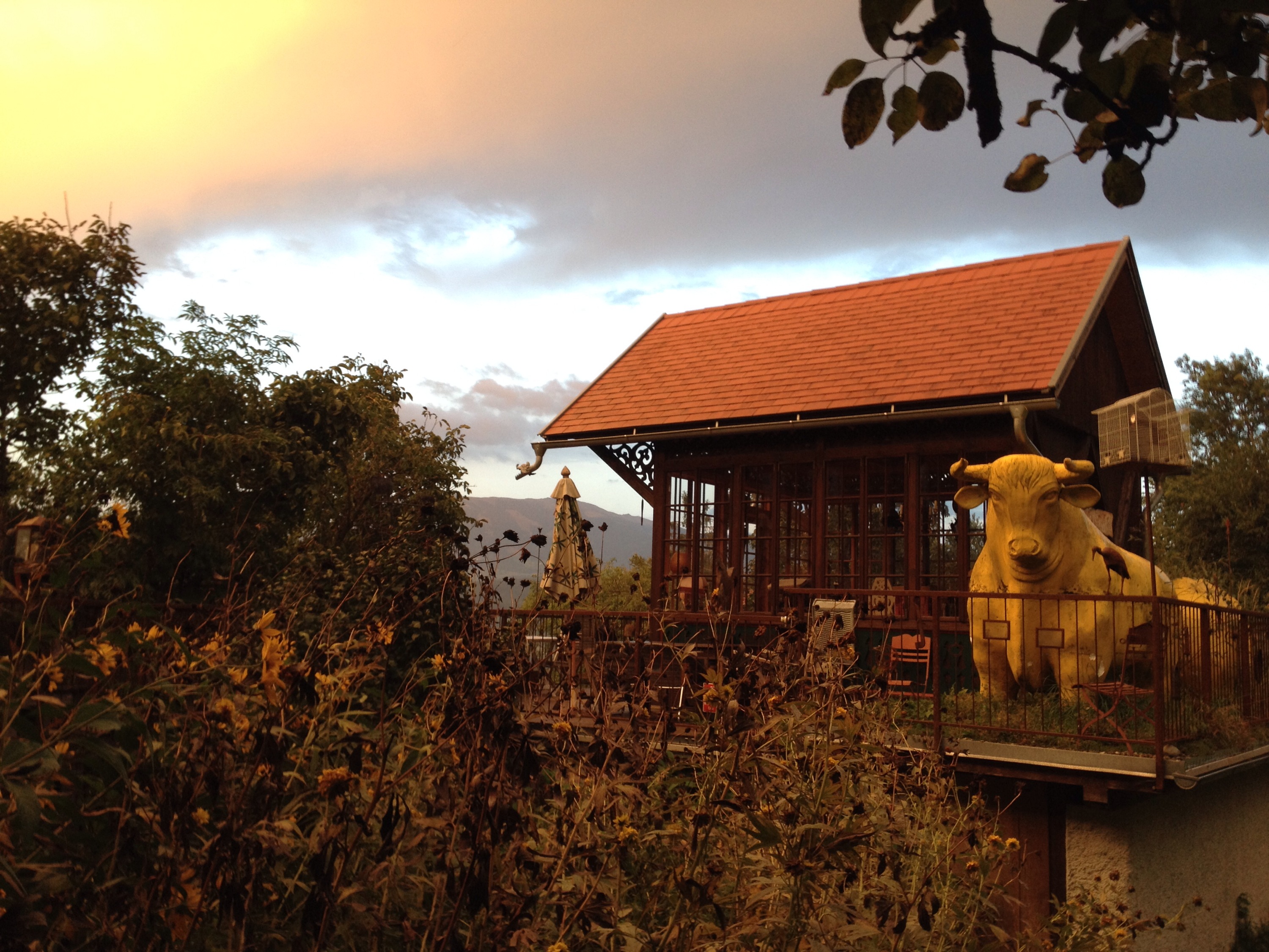An image showing the terrace of the Kleinsasserhof and a statue of a bull